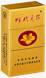 宏声（世纪朝）